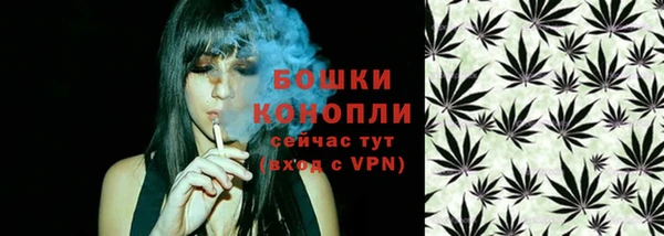 молекула духа Пестово