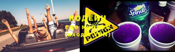 молекула духа Пестово