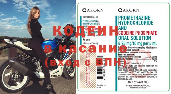 молекула духа Пестово