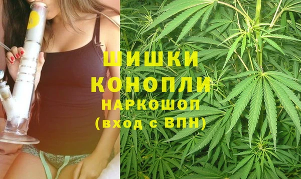 молекула духа Пестово