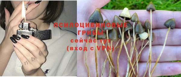 стафф Абаза